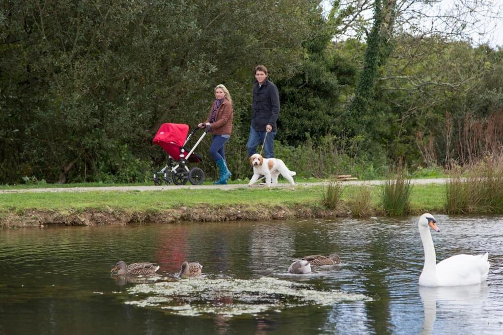 Skylark Sleeps 8 Private Hot Tub & Dogs Welcome Nr Padstow, Resort Pool Bar & Watersports St Columb Major Exterior foto